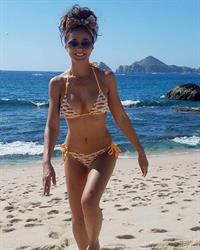 Emmanuelle Chriqui in a bikini