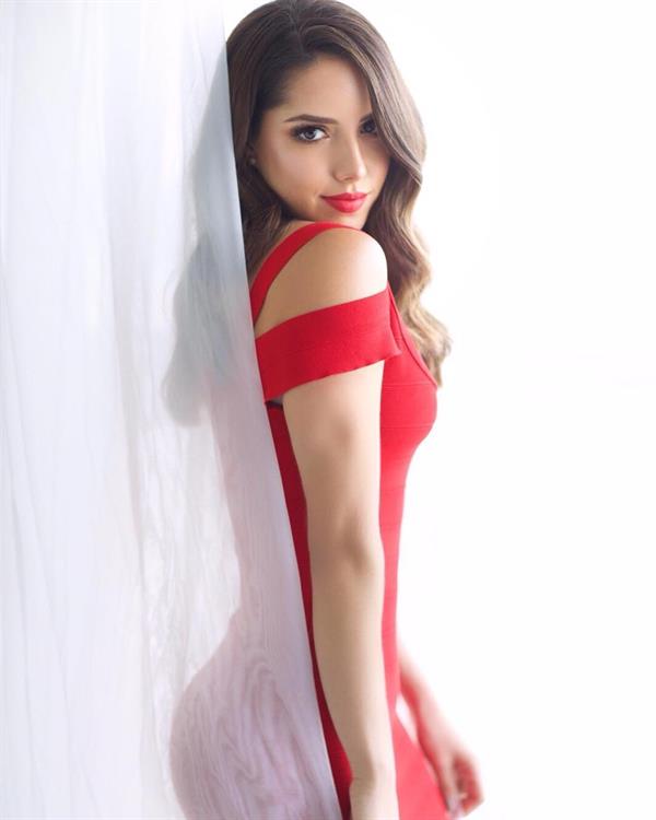 Silvy Araujo in Red Dress