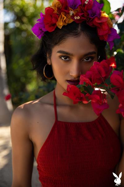 Angel Constance in the Big Garden
