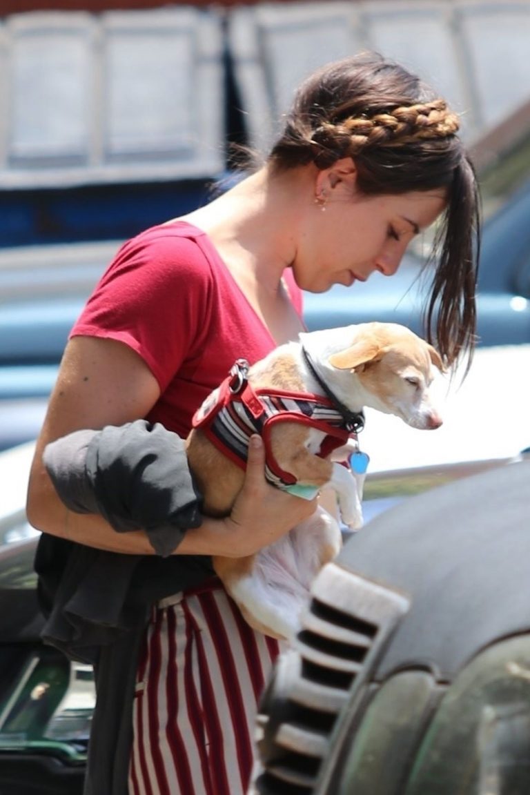 Scout Willis Pictures Scout Willis braless boobs in a small top seen by paparazzi.