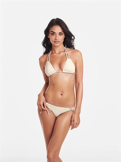 Shanina Shaik in a bikini