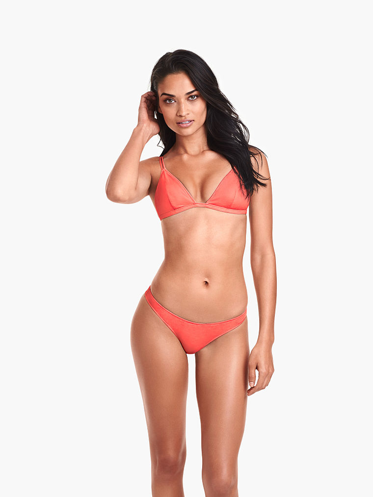 Shanina Shaik in a bikini