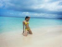 Adrianne Curry in a bikini