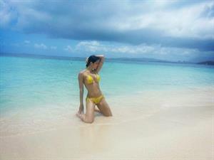 Adrianne Curry in a bikini