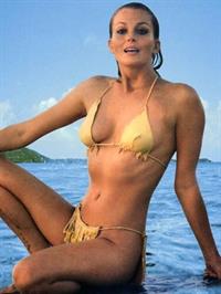 Bo Derek in a bikini