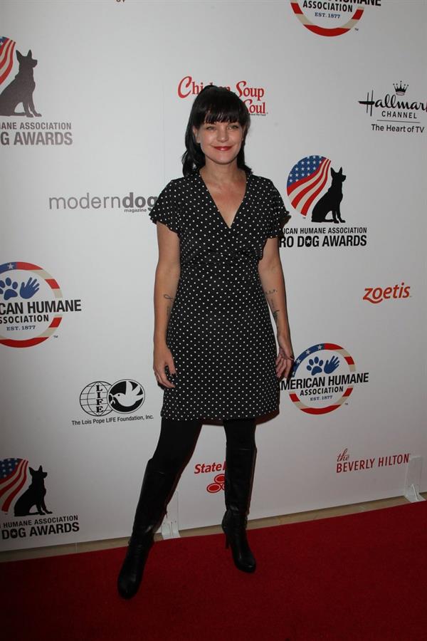 Pauley Perrette