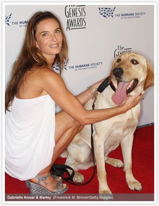 Gabrielle Anwar