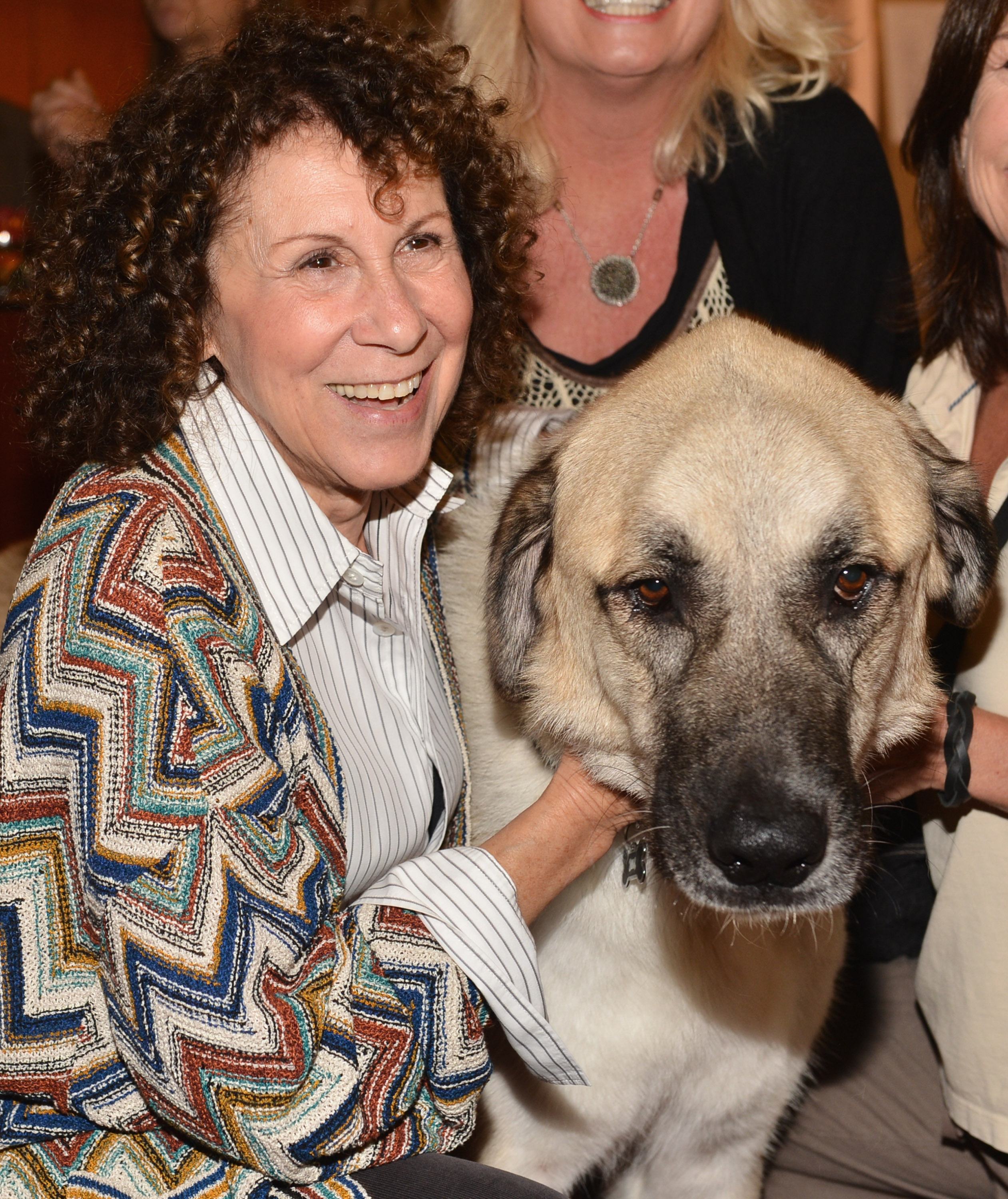Rhea Perlman Related To Ron Perlman