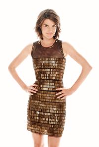 Cobie Smulders