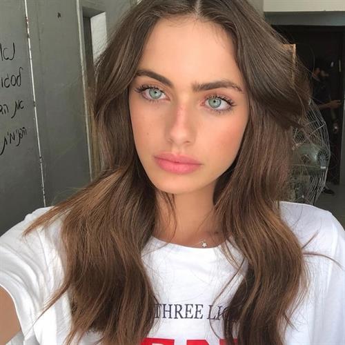 Yael Shelbia