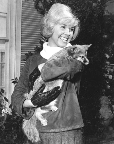 Doris Day