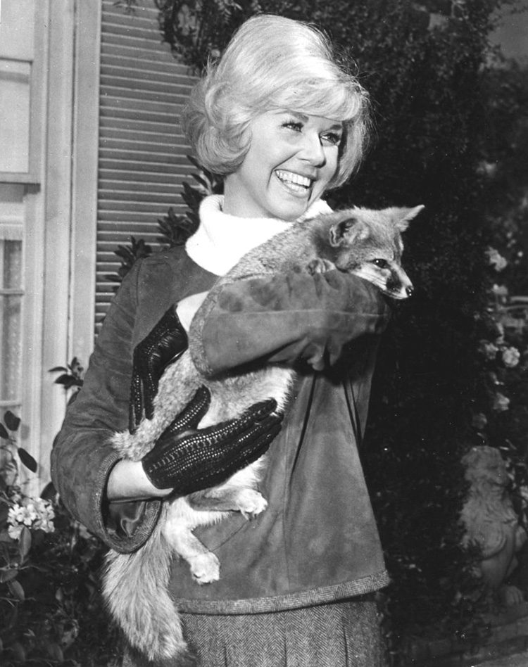 Doris Day
