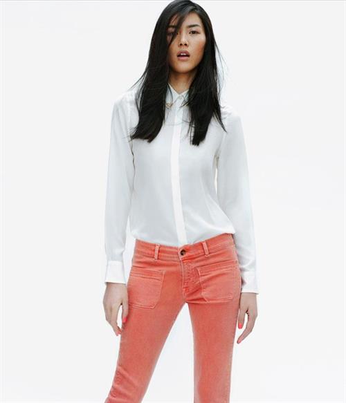 Liu Wen