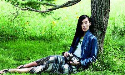 Liu Wen