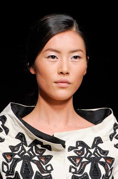 Liu Wen