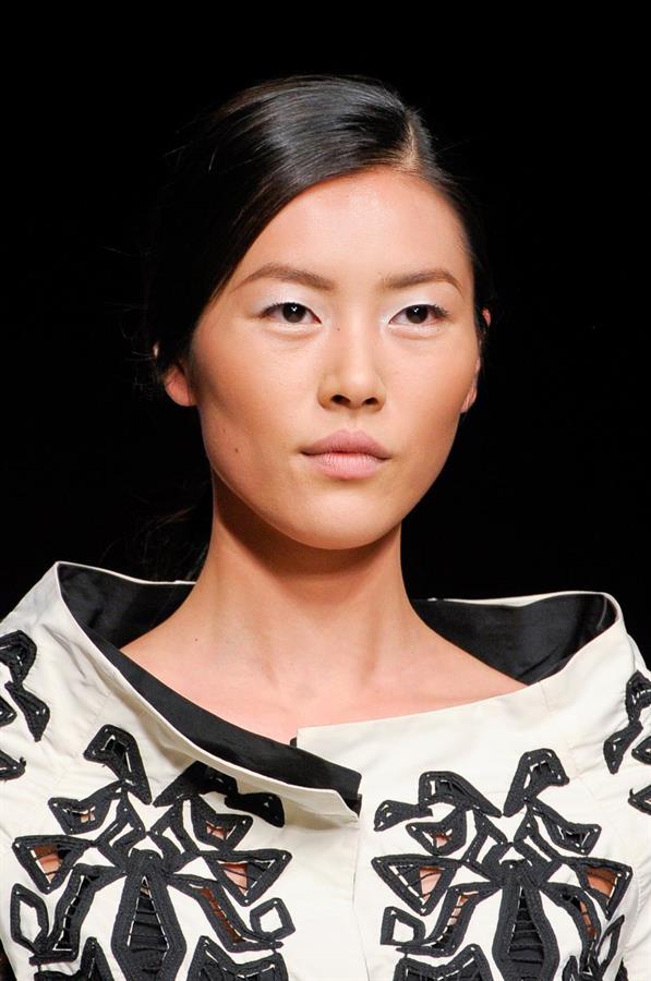 Liu Wen