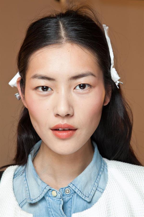 Liu Wen