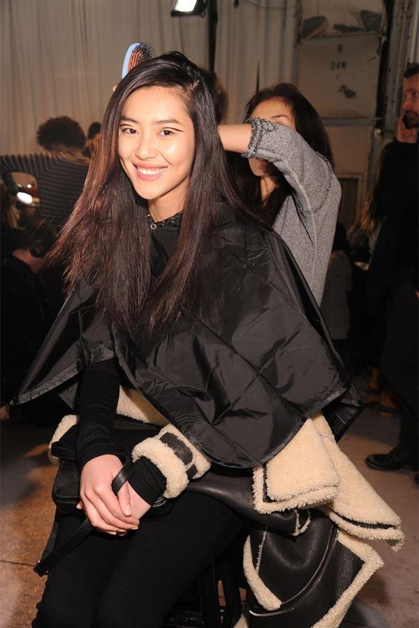 Liu Wen