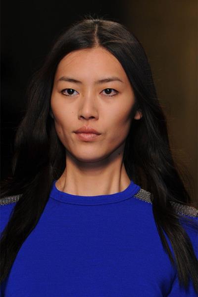Liu Wen
