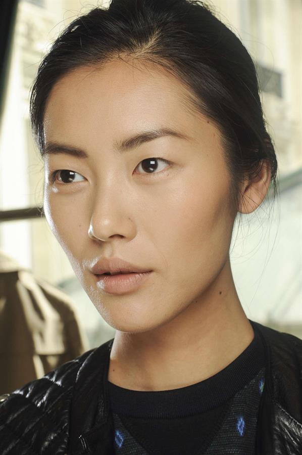 Liu Wen