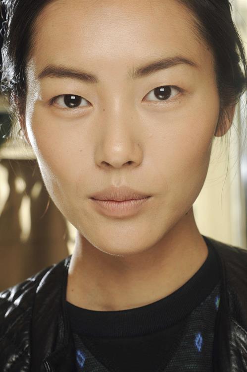 Liu Wen