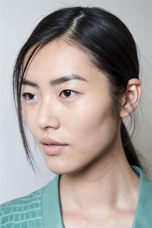 Liu Wen