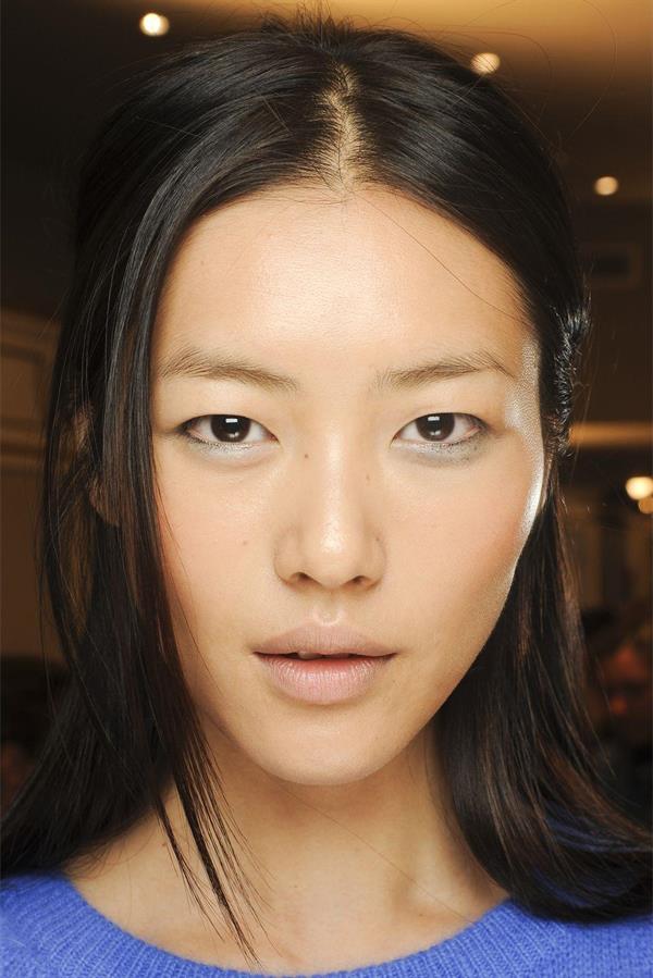 Liu Wen