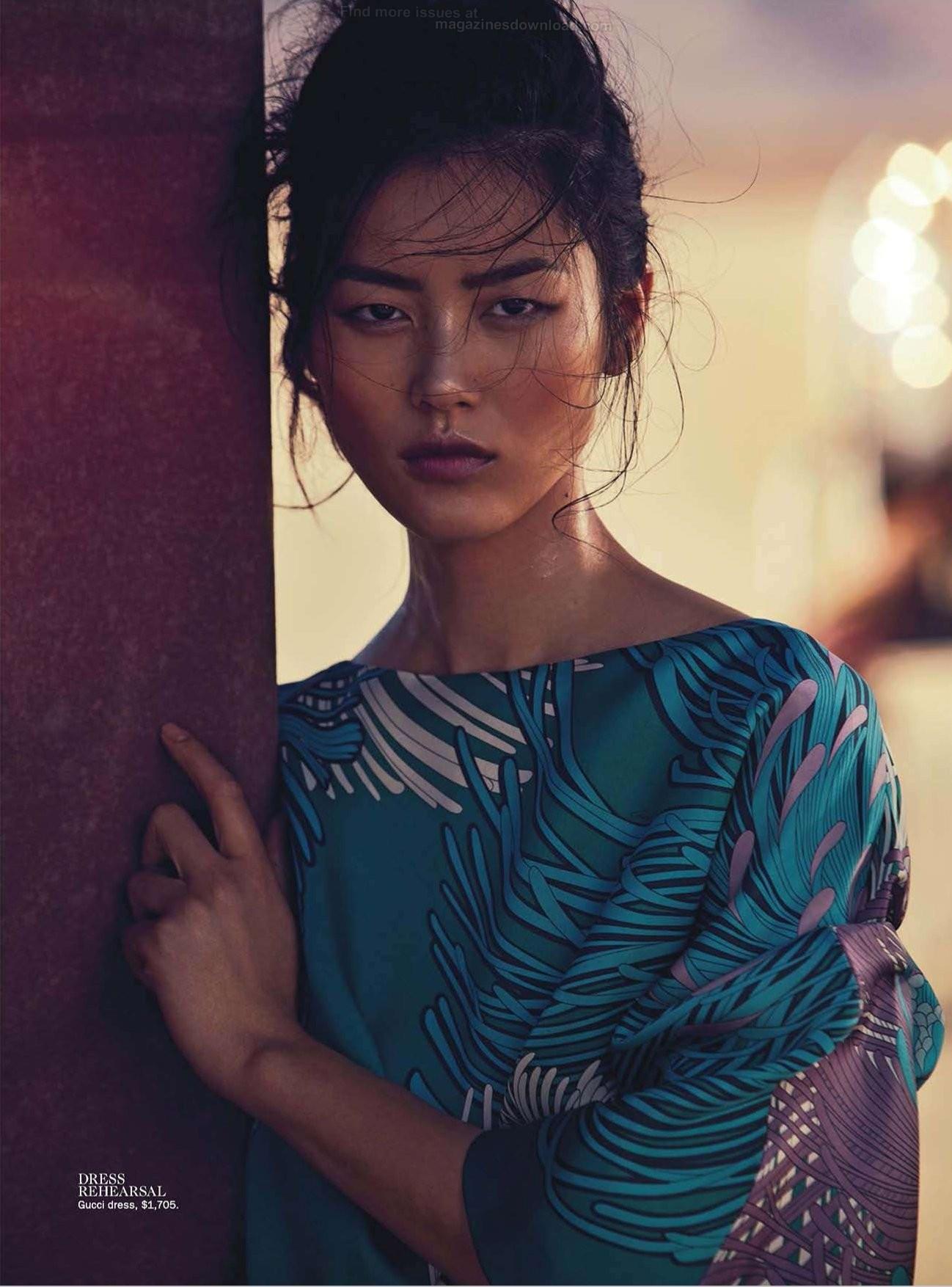 Liu Wen