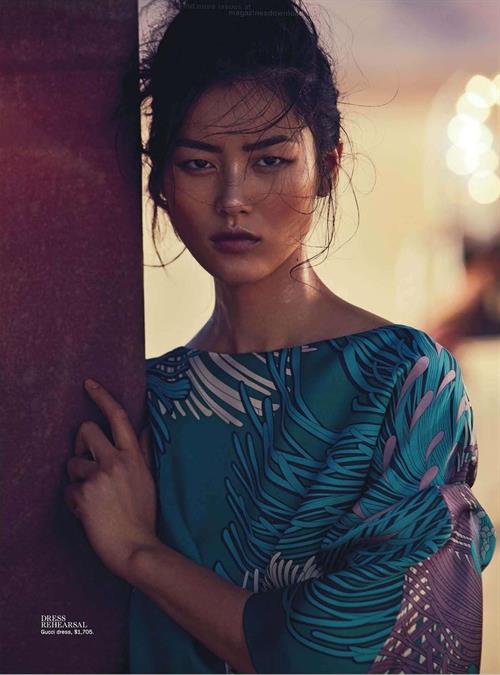 Liu Wen