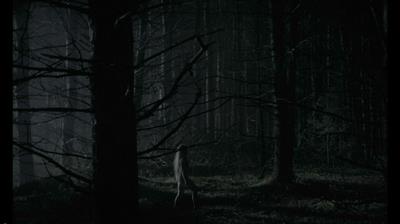 Anya-Taylor Joy in  The VVitch 