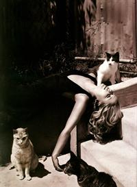 Sarah Michelle Gellar