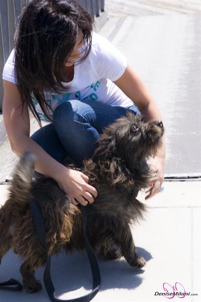 Denise Milani Photoset - lbwhite