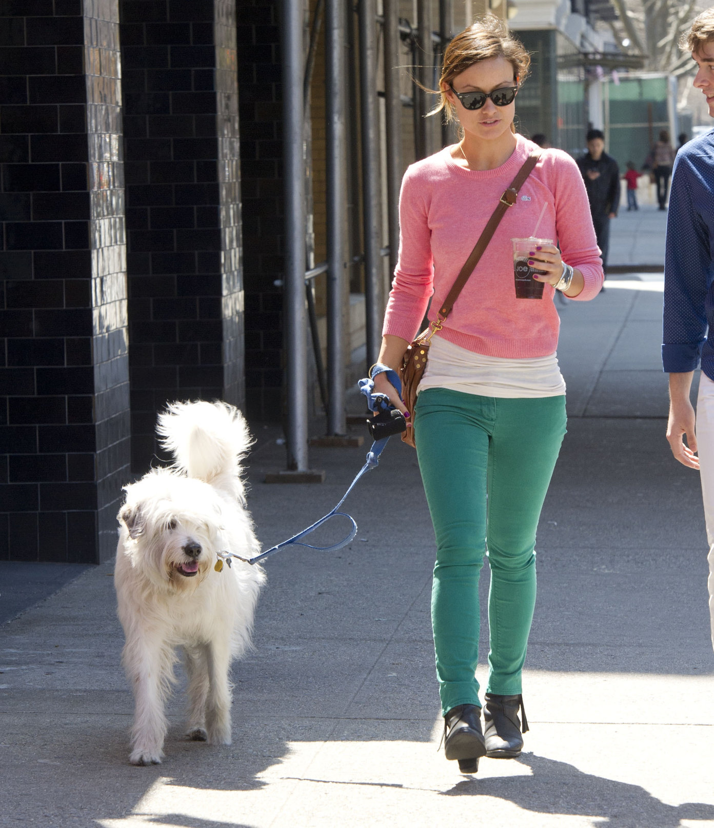 Olivia Wilde walking her dog with a friend in New York City - April 8, 2013 