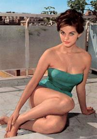 Claudia Cardinale in a bikini