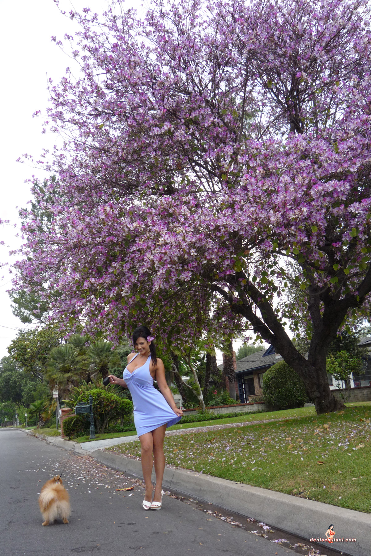 Denise Milani Snapshots - DogWalk