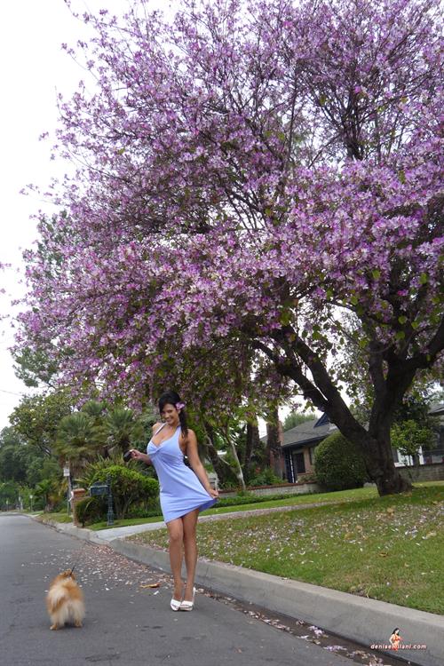 Denise Milani Snapshots - DogWalk