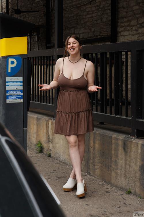 Busty Riley Nixon in a Sundress