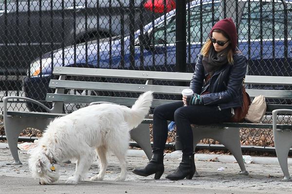 Olivia Wilde out walking her dog in New York City - February 16, 2013 