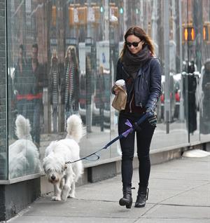 Olivia Wilde out walking her dog in New York City - February 16, 2013 