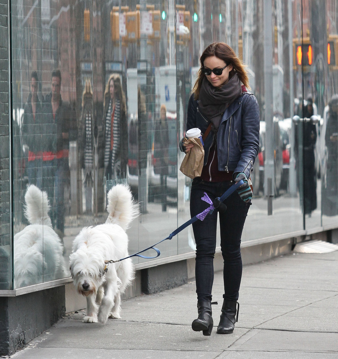 Olivia Wilde out walking her dog in New York City - February 16, 2013 