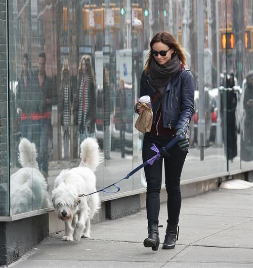 Olivia Wilde out walking her dog in New York City - February 16, 2013 