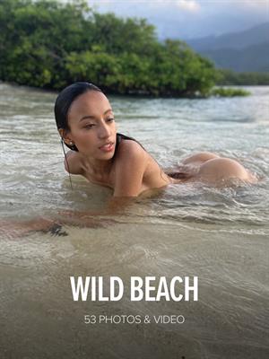 Camila Luna Nude Pictures Camila Luna: Wild Beach