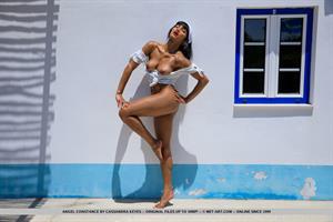 Angel Constance Nude Pictures Bronzed Beauty