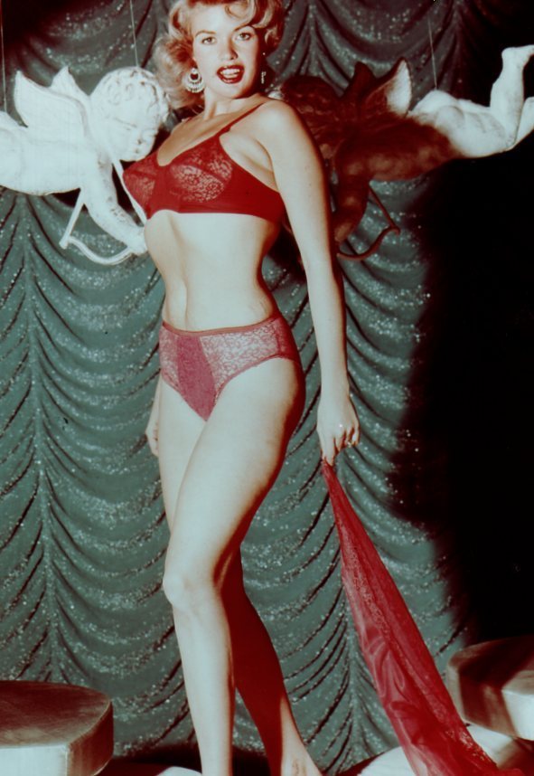 Jayne Mansfield Lingerie Telegraph