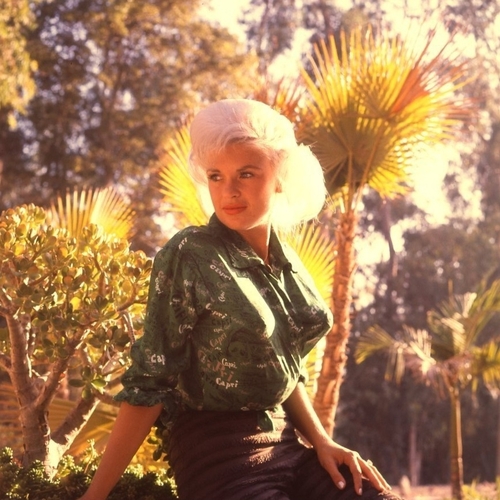 Jayne Mansfield