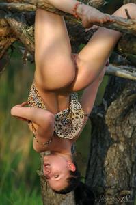 Titania - Wild Leopard