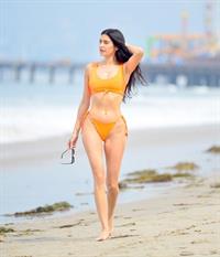 Nicole Williams English