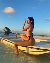 Nicole Williams English