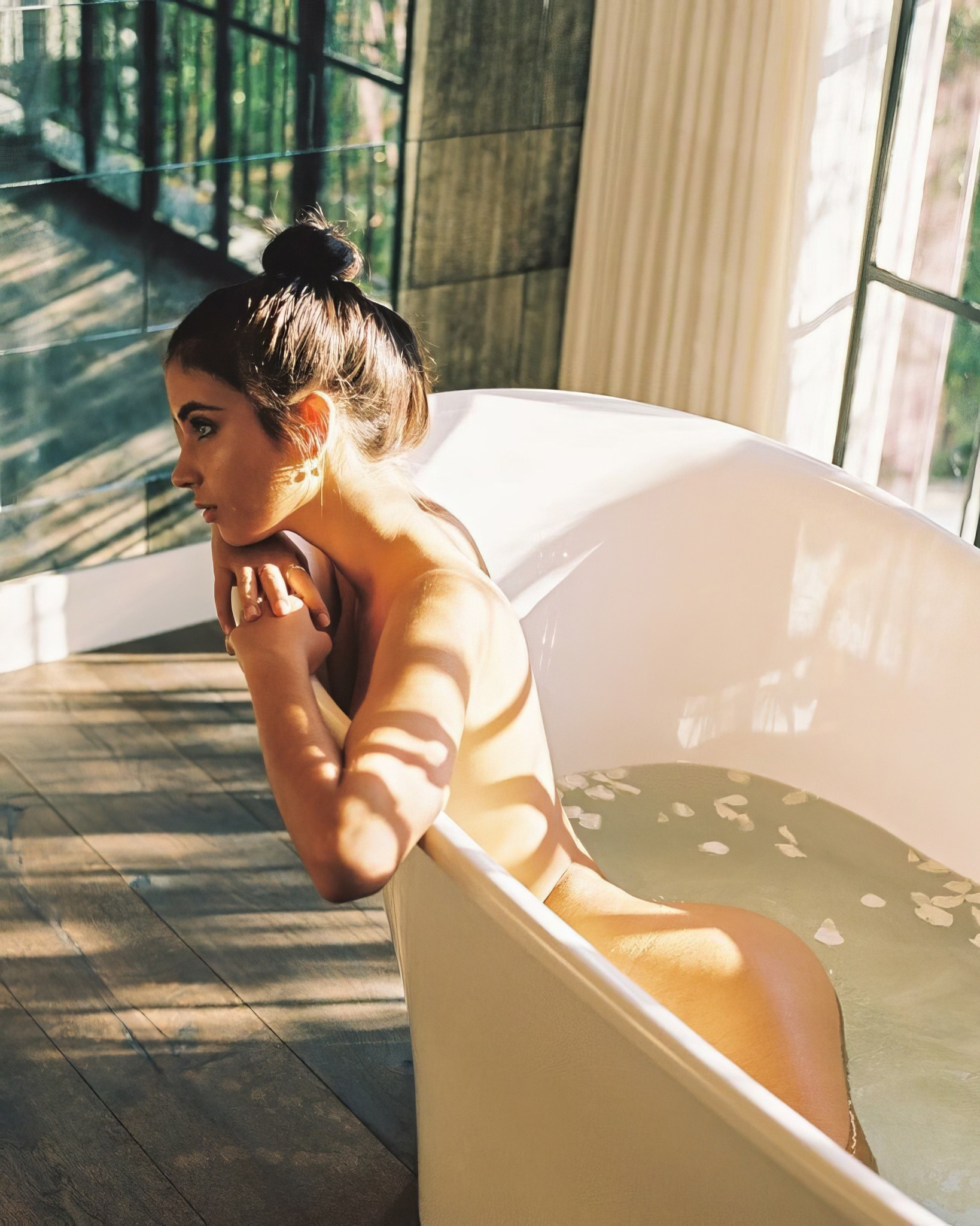 Elisha In The Bathtub