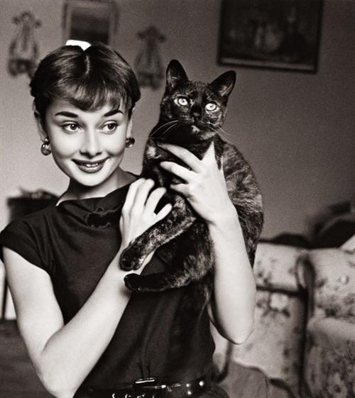 Audrey Hepburn